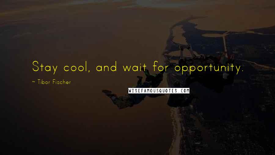 Tibor Fischer Quotes: Stay cool, and wait for opportunity.