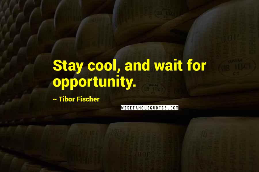 Tibor Fischer Quotes: Stay cool, and wait for opportunity.