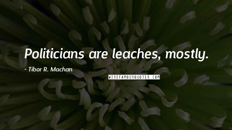 Tibor R. Machan Quotes: Politicians are leaches, mostly.