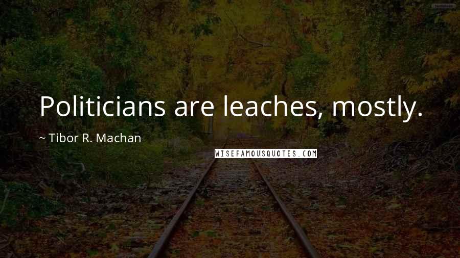 Tibor R. Machan Quotes: Politicians are leaches, mostly.