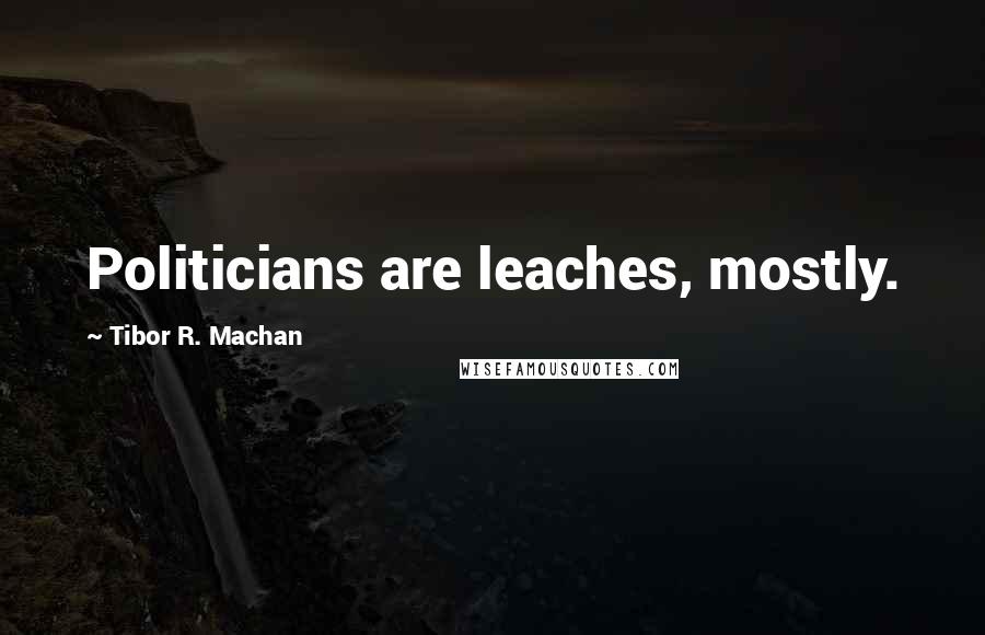 Tibor R. Machan Quotes: Politicians are leaches, mostly.