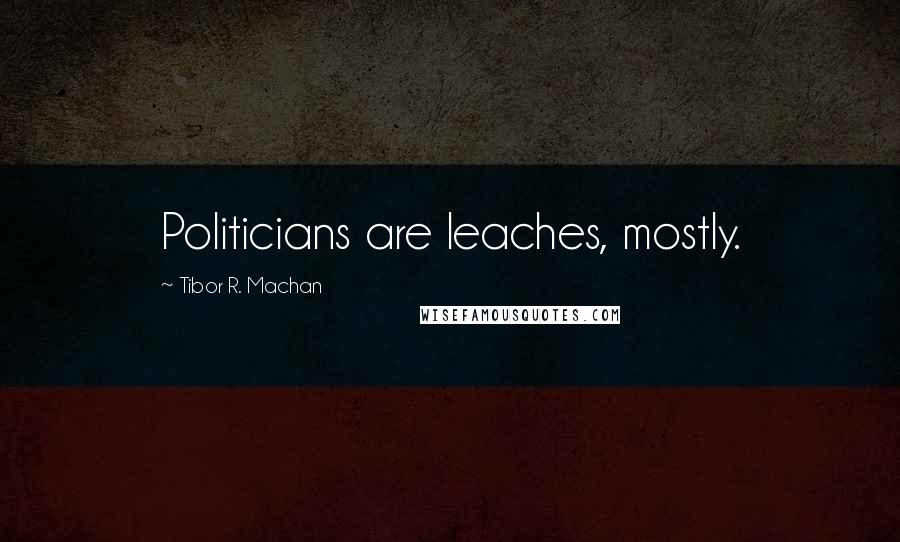 Tibor R. Machan Quotes: Politicians are leaches, mostly.