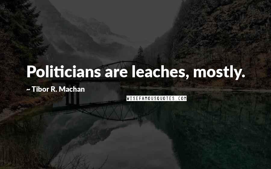 Tibor R. Machan Quotes: Politicians are leaches, mostly.