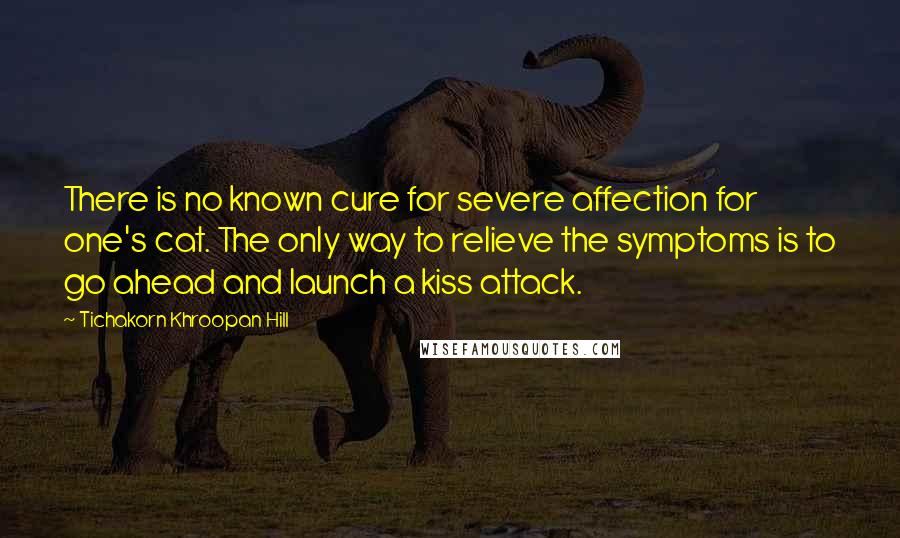 Tichakorn Khroopan Hill Quotes: There is no known cure for severe affection for one's cat. The only way to relieve the symptoms is to go ahead and launch a kiss attack.