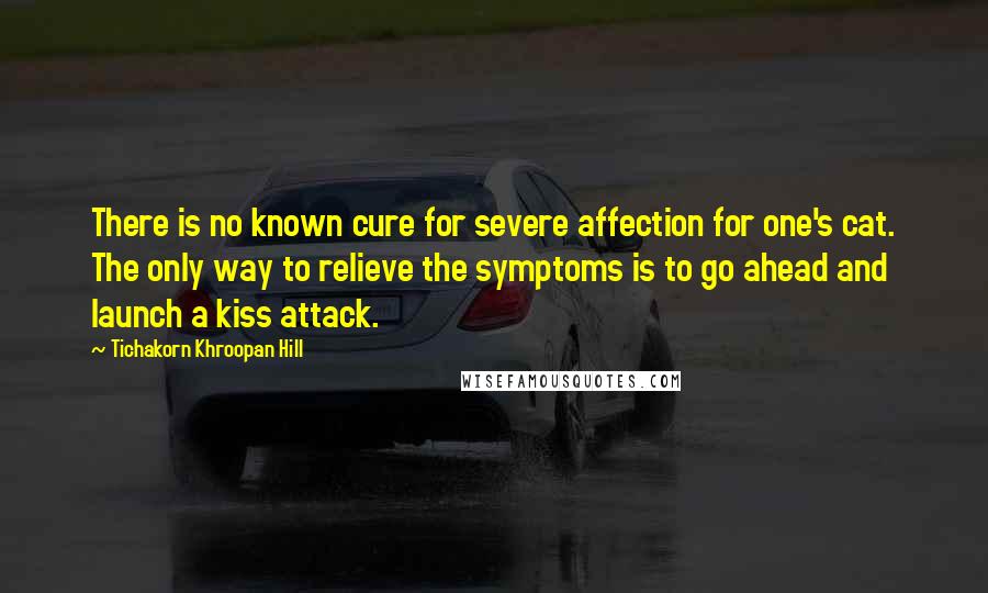 Tichakorn Khroopan Hill Quotes: There is no known cure for severe affection for one's cat. The only way to relieve the symptoms is to go ahead and launch a kiss attack.