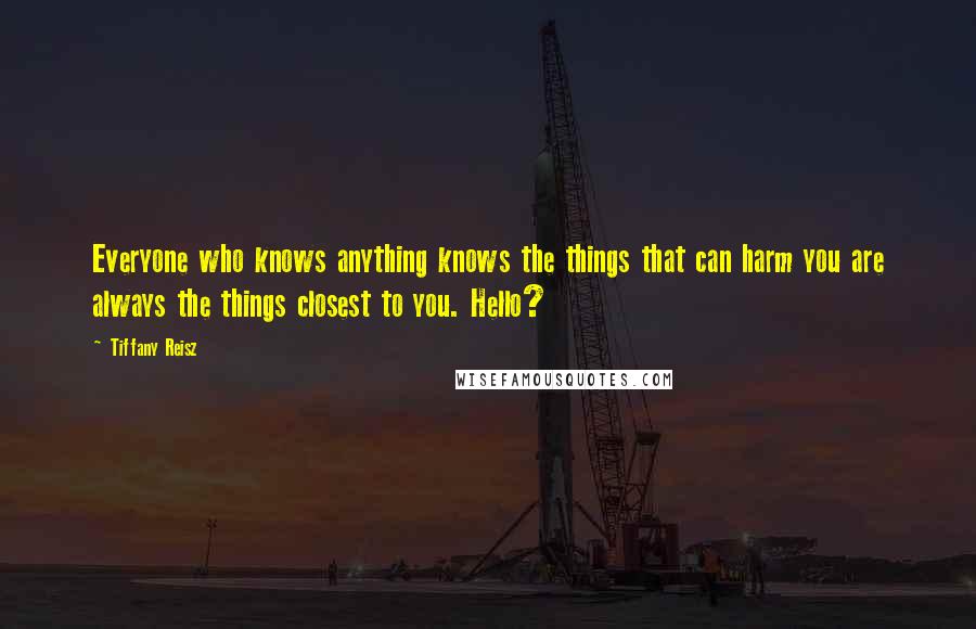 Tiffany Reisz Quotes: Everyone who knows anything knows the things that can harm you are always the things closest to you. Hello?