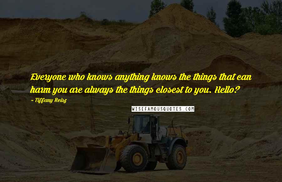Tiffany Reisz Quotes: Everyone who knows anything knows the things that can harm you are always the things closest to you. Hello?
