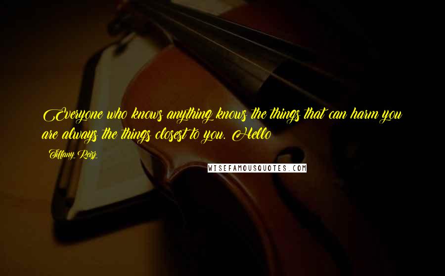 Tiffany Reisz Quotes: Everyone who knows anything knows the things that can harm you are always the things closest to you. Hello?