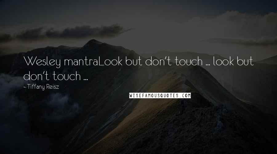 Tiffany Reisz Quotes: Wesley mantraLook but don't touch ... look but don't touch ...