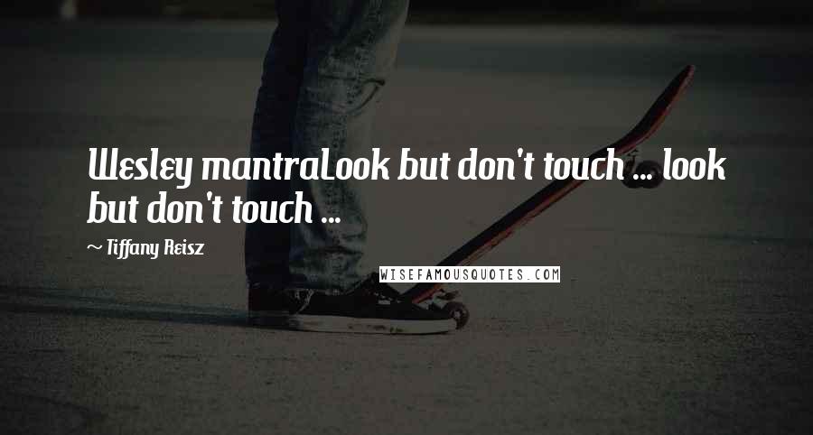 Tiffany Reisz Quotes: Wesley mantraLook but don't touch ... look but don't touch ...