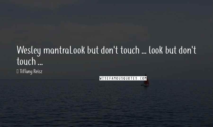 Tiffany Reisz Quotes: Wesley mantraLook but don't touch ... look but don't touch ...