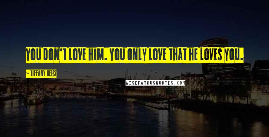 Tiffany Reisz Quotes: You don't love him. You only love that he loves you.