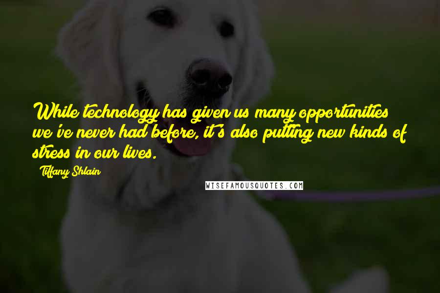 Tiffany Shlain Quotes: While technology has given us many opportunities we've never had before, it's also putting new kinds of stress in our lives.