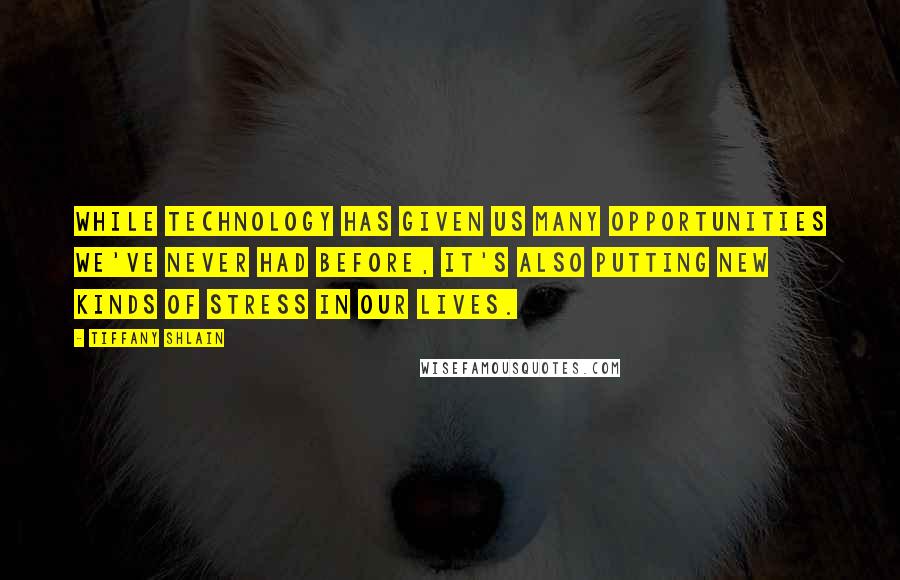 Tiffany Shlain Quotes: While technology has given us many opportunities we've never had before, it's also putting new kinds of stress in our lives.