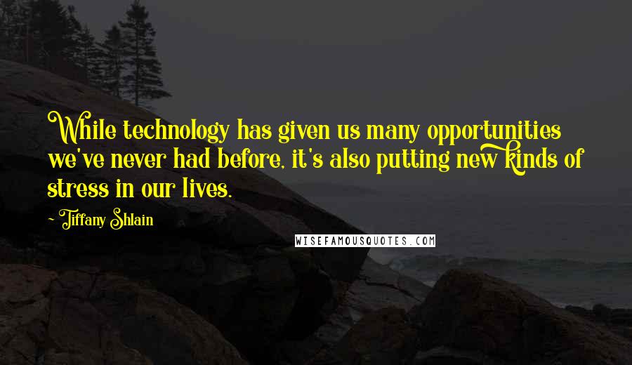 Tiffany Shlain Quotes: While technology has given us many opportunities we've never had before, it's also putting new kinds of stress in our lives.