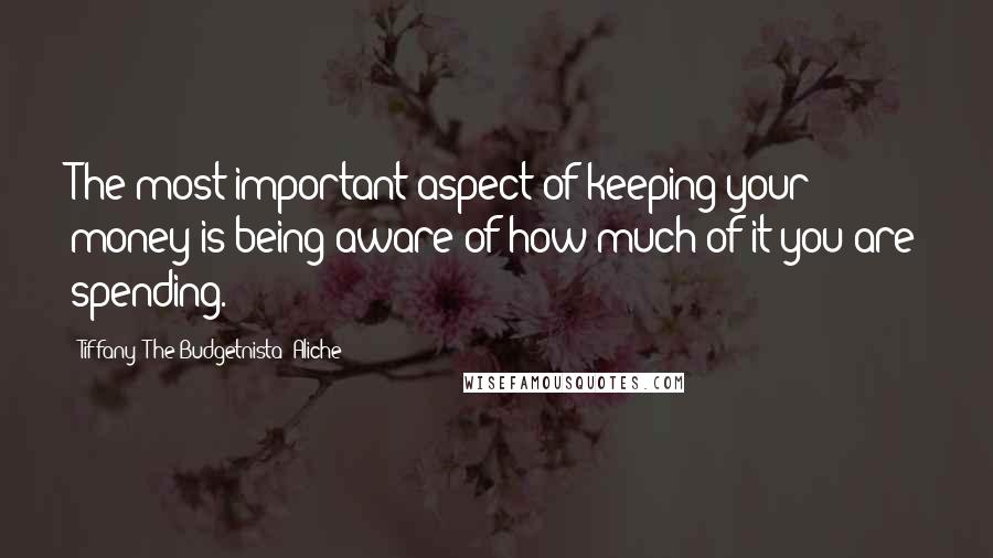 Tiffany 'The Budgetnista' Aliche Quotes: The most important aspect of keeping your money is being aware of how much of it you are spending.