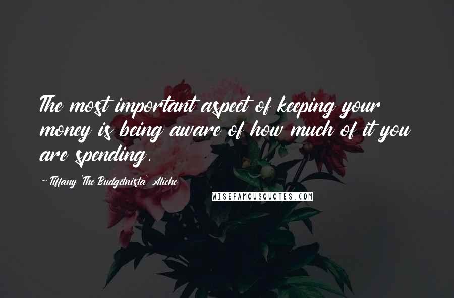 Tiffany 'The Budgetnista' Aliche Quotes: The most important aspect of keeping your money is being aware of how much of it you are spending.