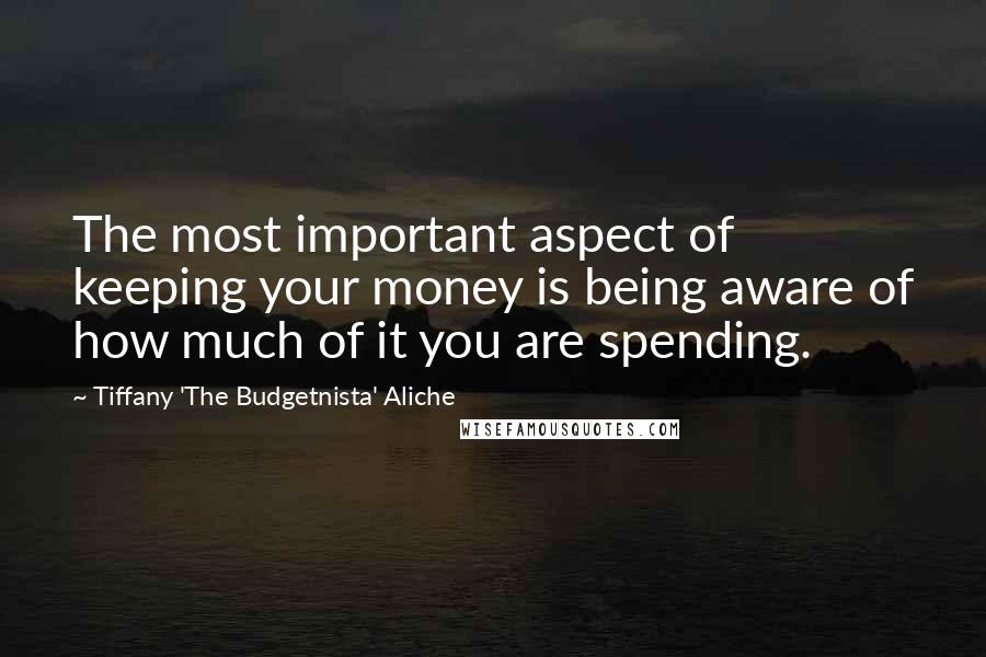 Tiffany 'The Budgetnista' Aliche Quotes: The most important aspect of keeping your money is being aware of how much of it you are spending.