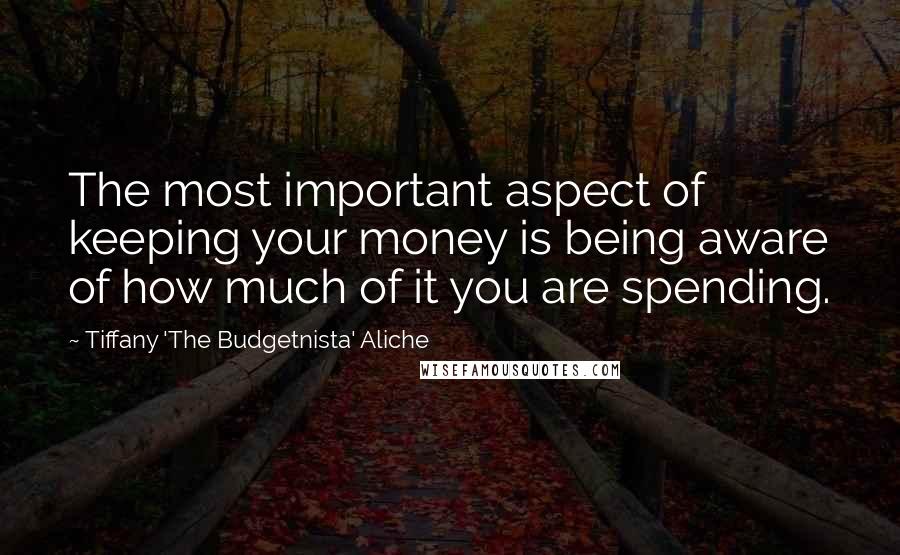 Tiffany 'The Budgetnista' Aliche Quotes: The most important aspect of keeping your money is being aware of how much of it you are spending.