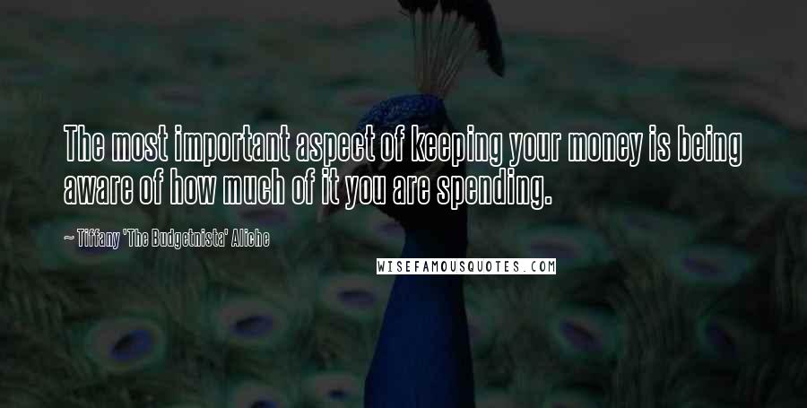 Tiffany 'The Budgetnista' Aliche Quotes: The most important aspect of keeping your money is being aware of how much of it you are spending.