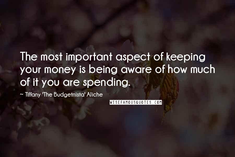 Tiffany 'The Budgetnista' Aliche Quotes: The most important aspect of keeping your money is being aware of how much of it you are spending.