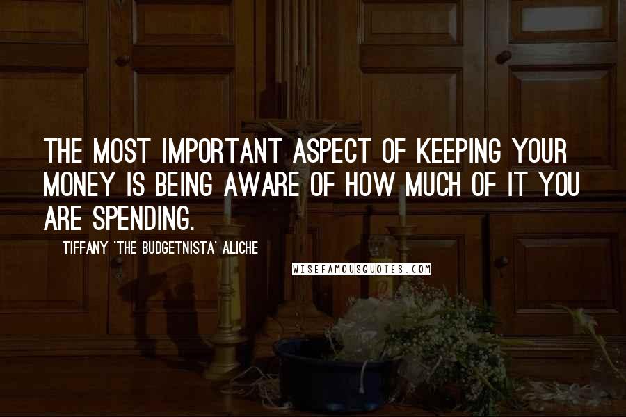 Tiffany 'The Budgetnista' Aliche Quotes: The most important aspect of keeping your money is being aware of how much of it you are spending.