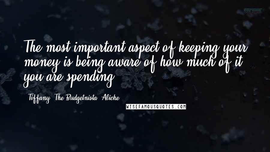 Tiffany 'The Budgetnista' Aliche Quotes: The most important aspect of keeping your money is being aware of how much of it you are spending.