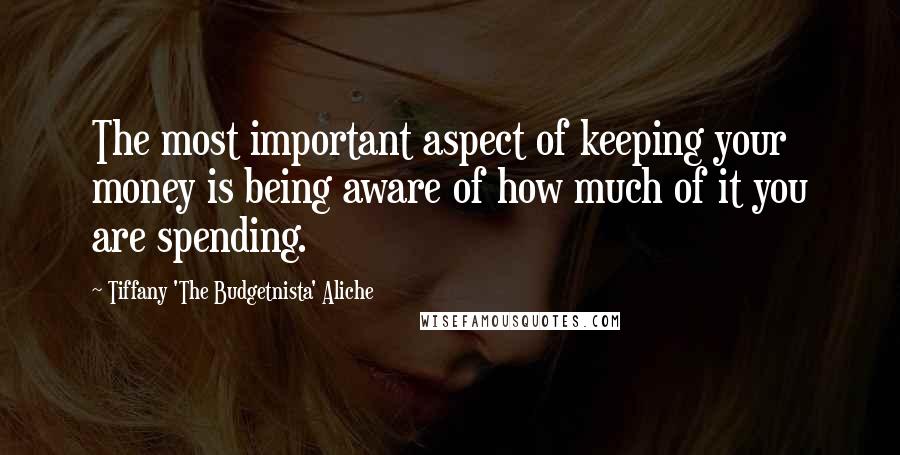 Tiffany 'The Budgetnista' Aliche Quotes: The most important aspect of keeping your money is being aware of how much of it you are spending.