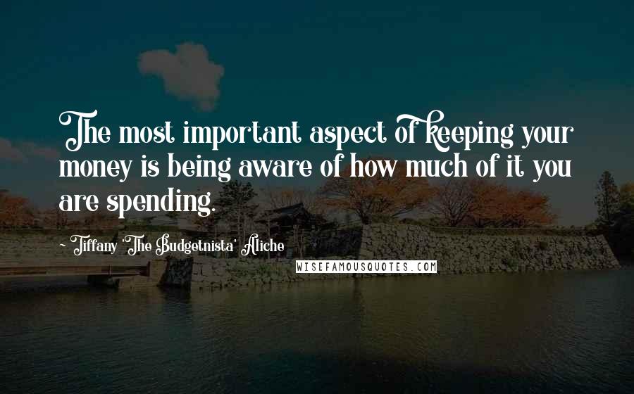 Tiffany 'The Budgetnista' Aliche Quotes: The most important aspect of keeping your money is being aware of how much of it you are spending.