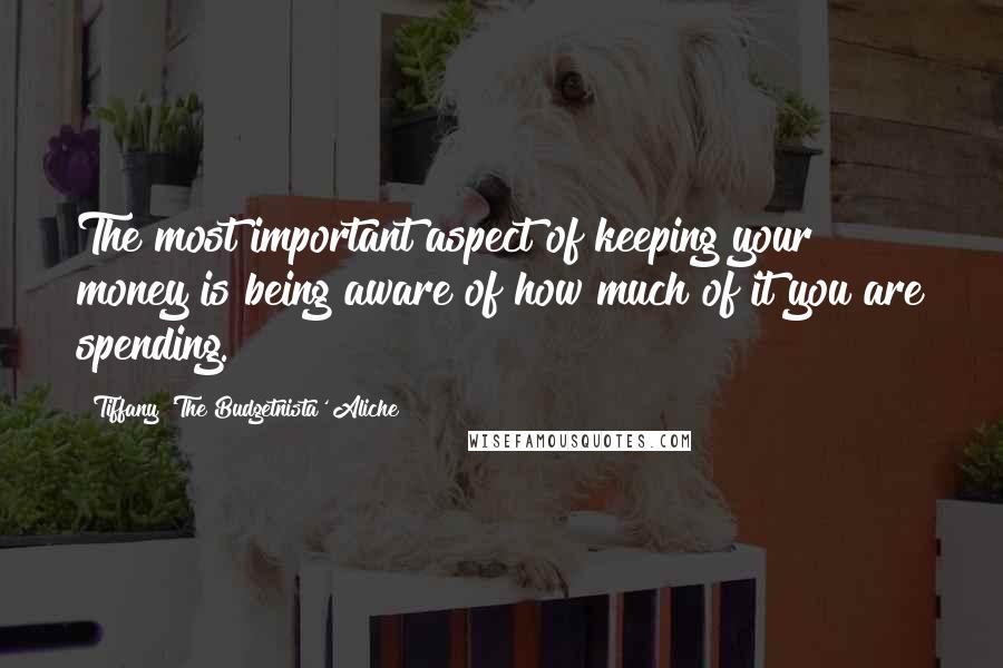 Tiffany 'The Budgetnista' Aliche Quotes: The most important aspect of keeping your money is being aware of how much of it you are spending.