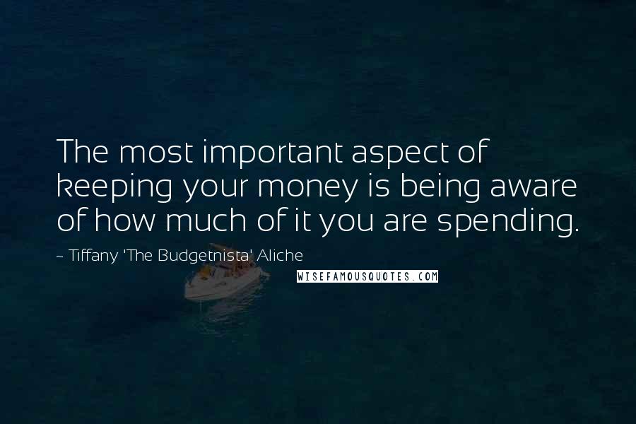 Tiffany 'The Budgetnista' Aliche Quotes: The most important aspect of keeping your money is being aware of how much of it you are spending.