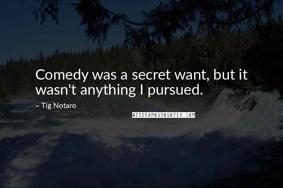 Tig Notaro Quotes: Comedy was a secret want, but it wasn't anything I pursued.