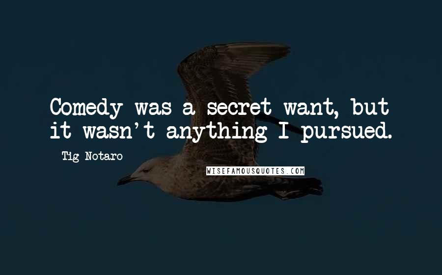 Tig Notaro Quotes: Comedy was a secret want, but it wasn't anything I pursued.