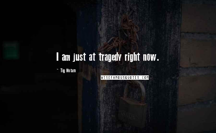 Tig Notaro Quotes: I am just at tragedy right now.