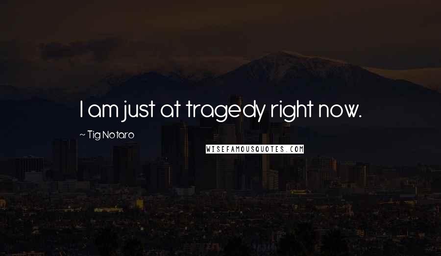 Tig Notaro Quotes: I am just at tragedy right now.