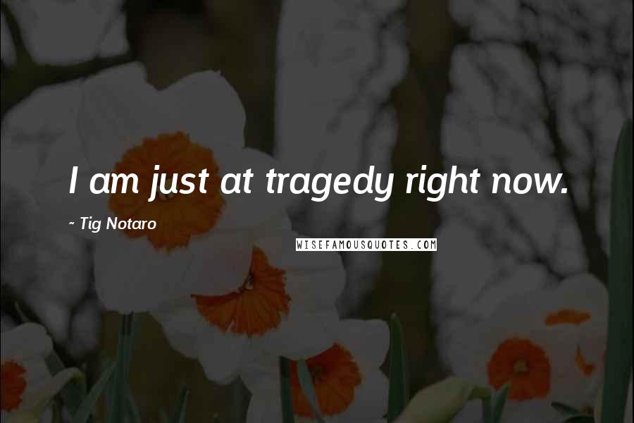 Tig Notaro Quotes: I am just at tragedy right now.