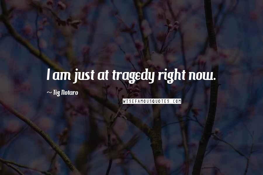Tig Notaro Quotes: I am just at tragedy right now.