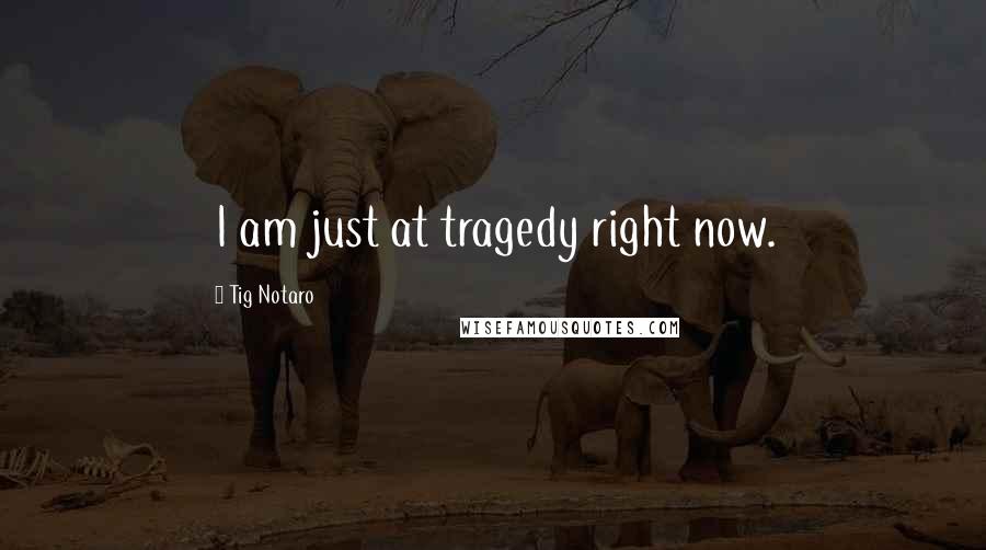 Tig Notaro Quotes: I am just at tragedy right now.