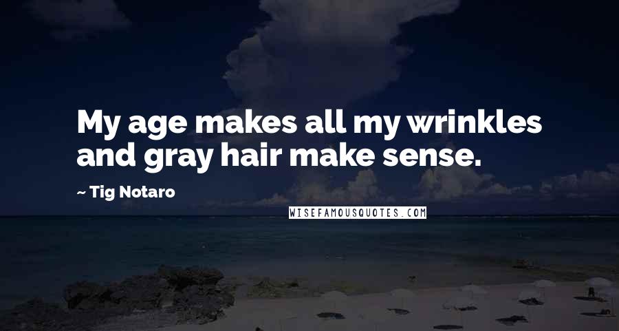 Tig Notaro Quotes: My age makes all my wrinkles and gray hair make sense.