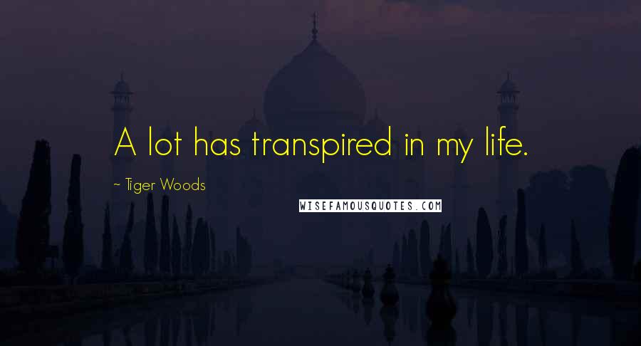 Tiger Woods Quotes: A lot has transpired in my life.