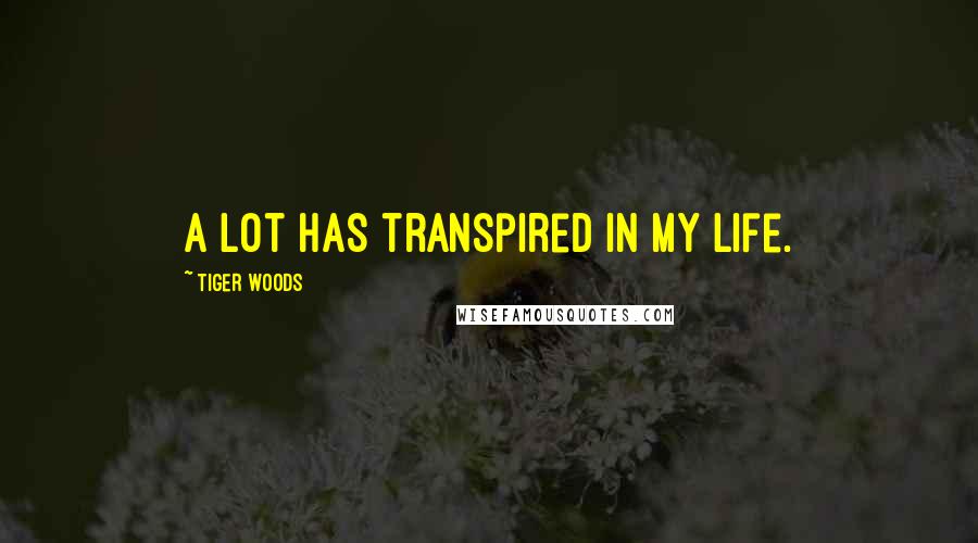 Tiger Woods Quotes: A lot has transpired in my life.