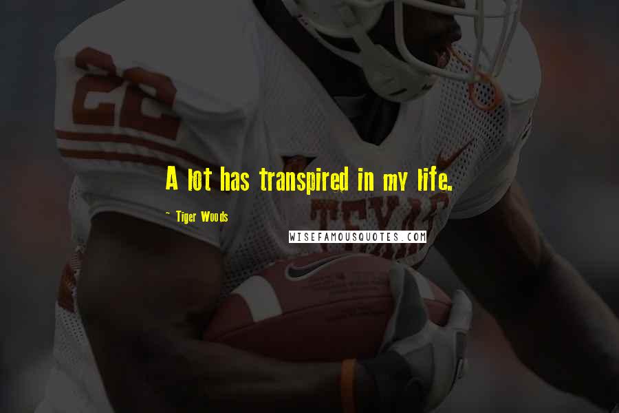Tiger Woods Quotes: A lot has transpired in my life.