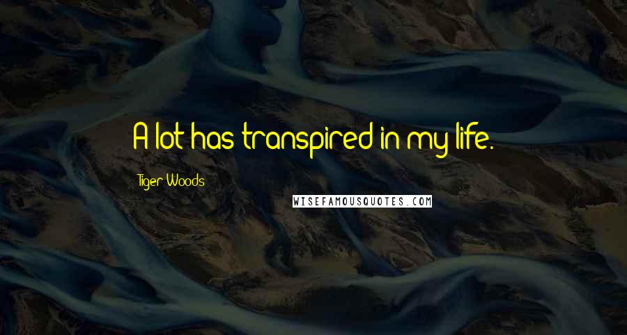 Tiger Woods Quotes: A lot has transpired in my life.