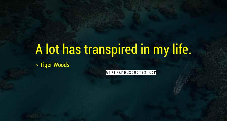 Tiger Woods Quotes: A lot has transpired in my life.