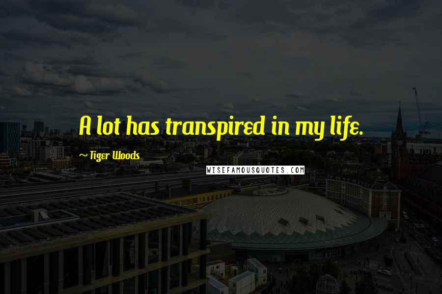 Tiger Woods Quotes: A lot has transpired in my life.