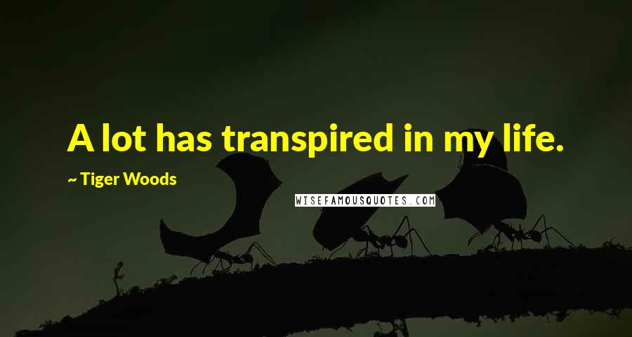 Tiger Woods Quotes: A lot has transpired in my life.