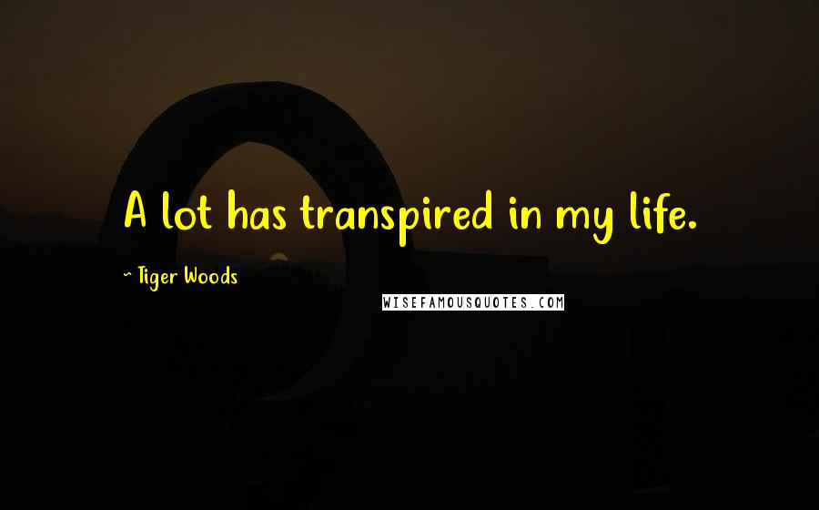 Tiger Woods Quotes: A lot has transpired in my life.