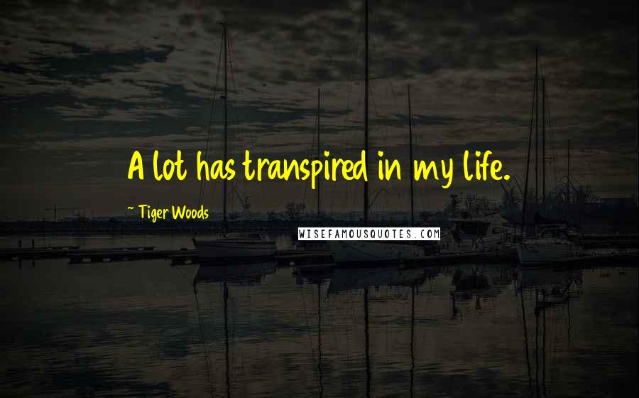 Tiger Woods Quotes: A lot has transpired in my life.