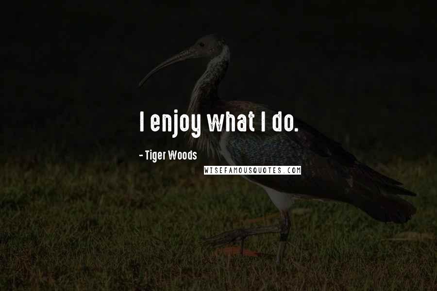 Tiger Woods Quotes: I enjoy what I do.