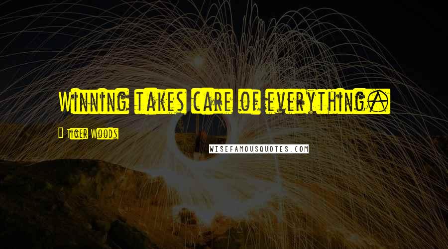 Tiger Woods Quotes: Winning takes care of everything.